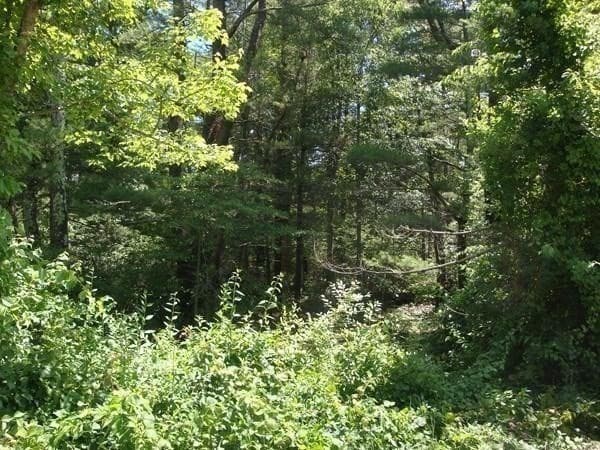 Land at 386 Wareham Street, Middleboro MA 02346, Middleboro, photo 12 of 15