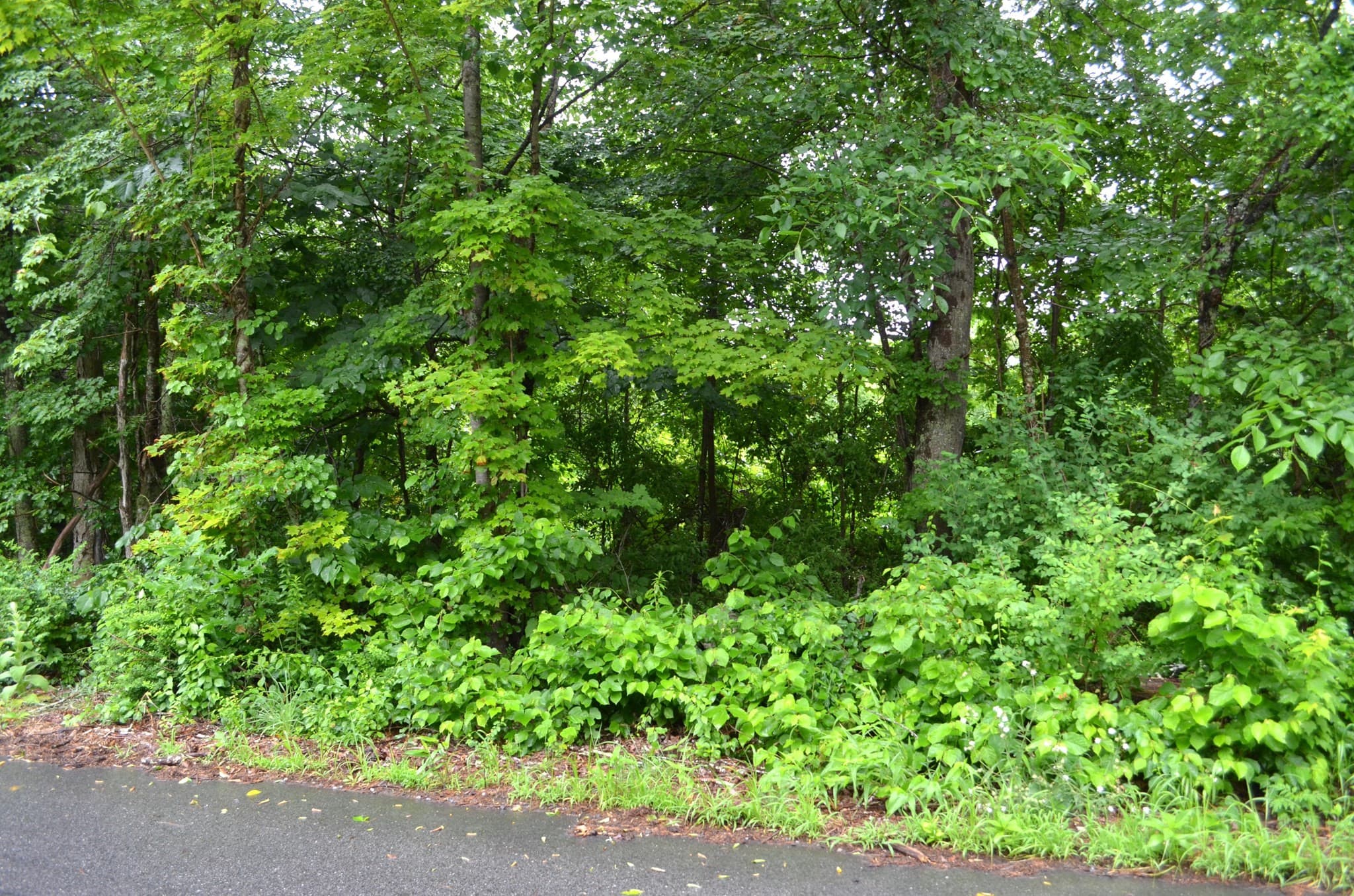 Residential at 67 Babcock Tavern Rd, Ware MA 01082, Ware, photo 2 of 3