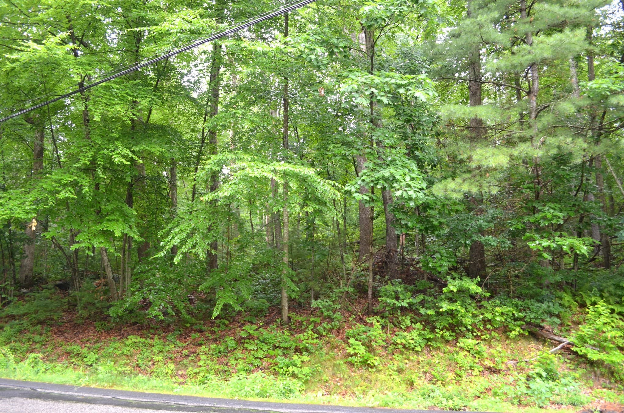 Residential at Lot 4 Babcock Tavern Rd, Ware MA 01082, Ware, photo 4 of 4