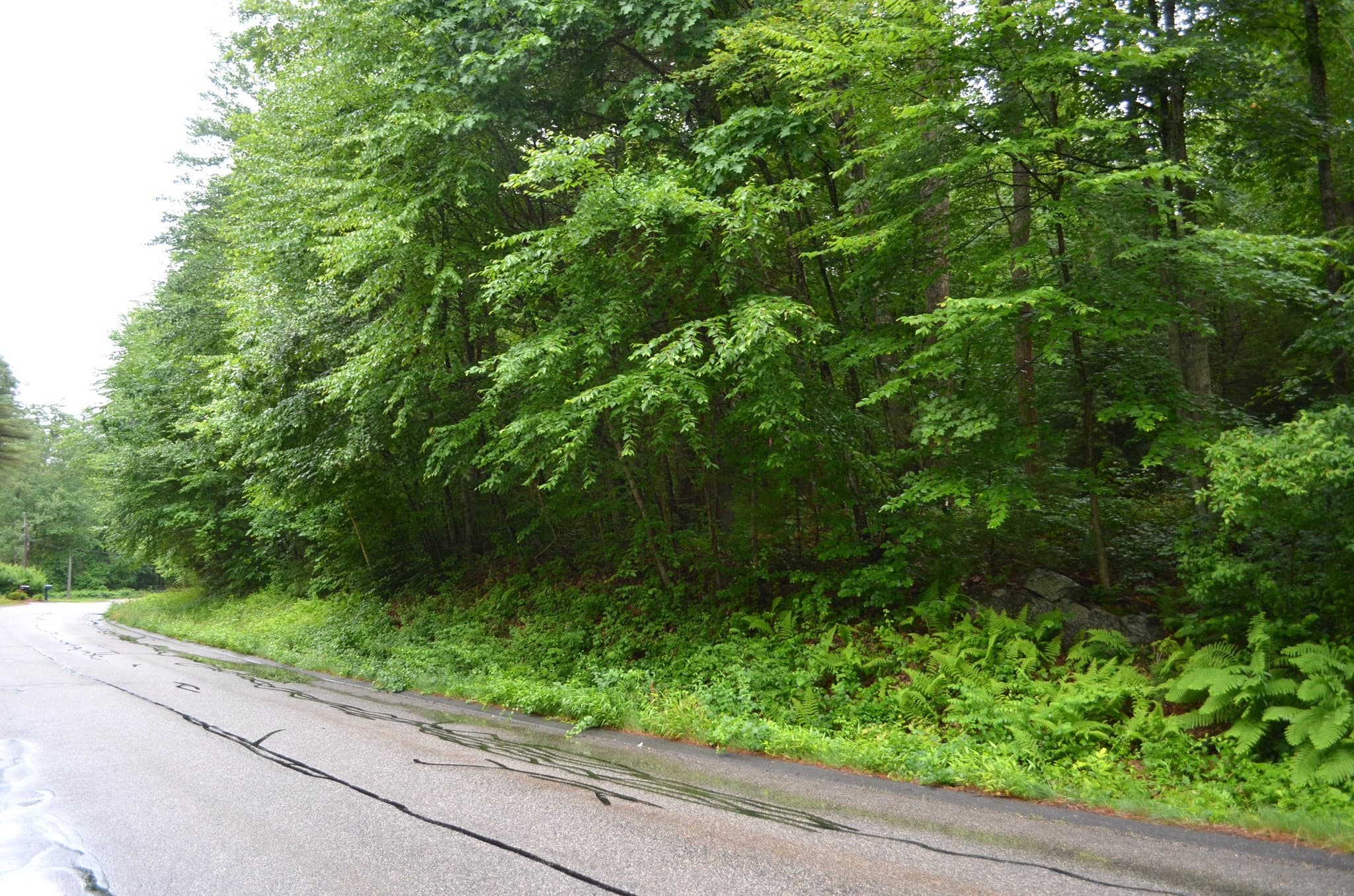 Lot 3 Monson Turnpike Rd, Ware MA 01082