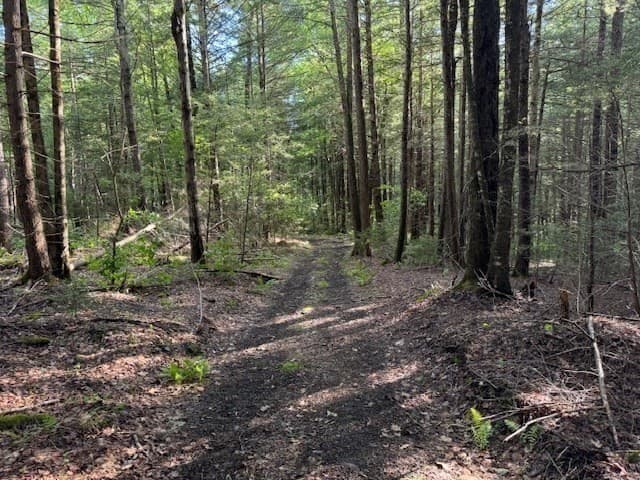 Residential at Lot 121 Davis Mine Rd, Rowe MA 01367, photo 23 of 25