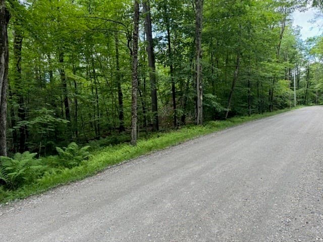 Residential at Lot 121 Davis Mine Rd, Rowe MA 01367, photo 2 of 25