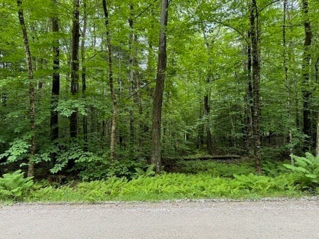Residential at Lot 121 Davis Mine Rd, Rowe MA 01367, photo 6 of 25