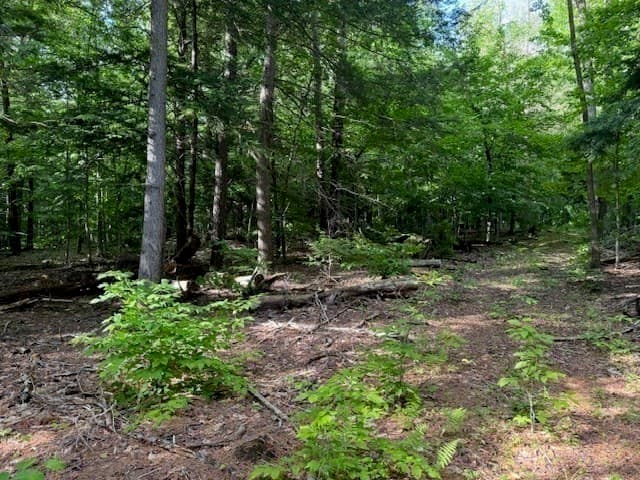 Residential at Lot 121 Davis Mine Rd, Rowe MA 01367, photo 16 of 25