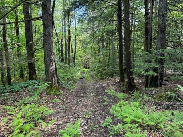 Residential at Lot 121 Davis Mine Rd, Rowe MA 01367, photo 22 of 25