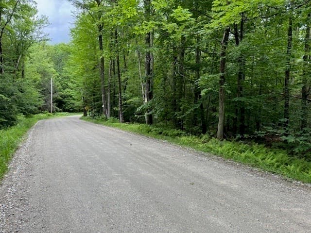 Residential at Lot 121 Davis Mine Rd, Rowe MA 01367, photo 3 of 25