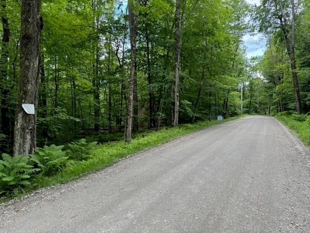 Residential at Lot 121 Davis Mine Rd, Rowe MA 01367, photo 5 of 25