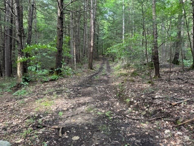 Residential at Lot 121 Davis Mine Rd, Rowe MA 01367, photo 9 of 25