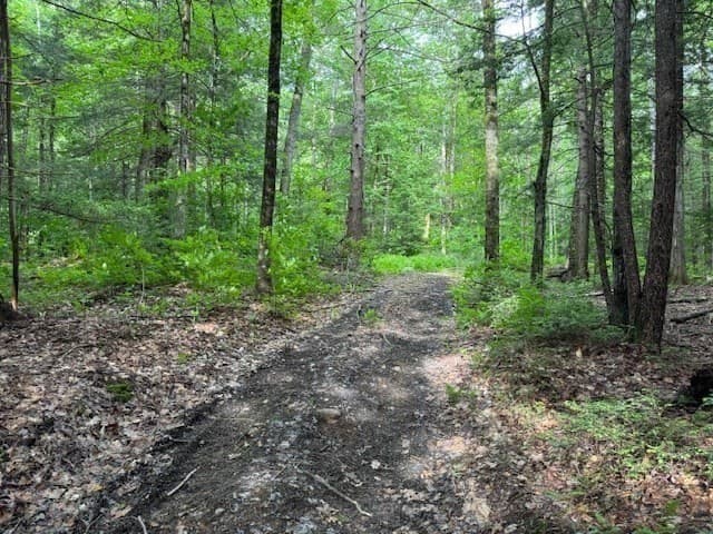 Residential at Lot 121 Davis Mine Rd, Rowe MA 01367, photo 10 of 25