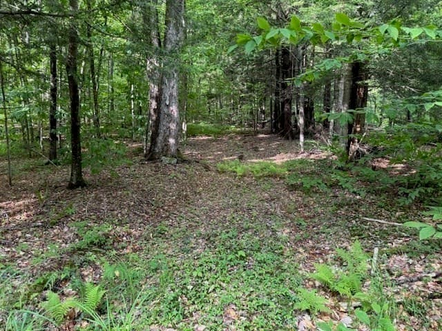 Residential at Lot 121 Davis Mine Rd, Rowe MA 01367, photo 14 of 25
