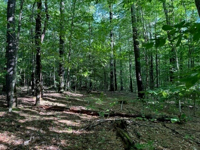 Residential at Lot 121 Davis Mine Rd, Rowe MA 01367, photo 18 of 25