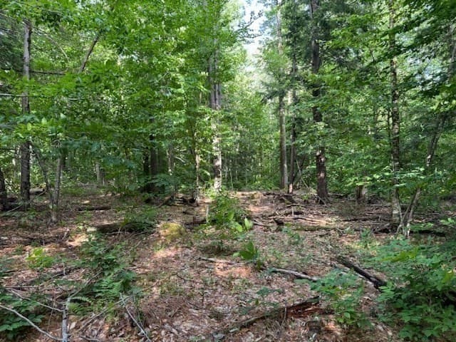 Residential at Lot 121 Davis Mine Rd, Rowe MA 01367, photo 15 of 25