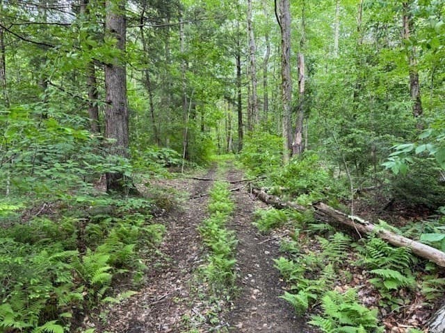 Residential at Lot 121 Davis Mine Rd, Rowe MA 01367, photo 11 of 25