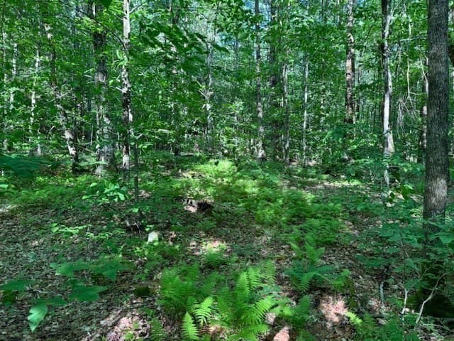 Residential at Lot 121 Davis Mine Rd, Rowe MA 01367, photo 19 of 25