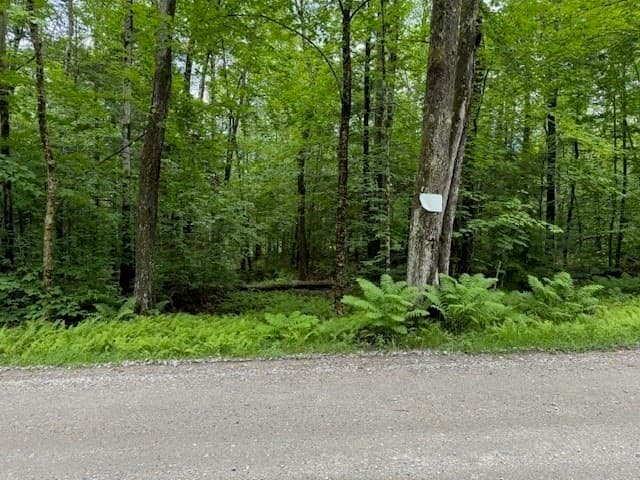 Residential at Lot 121 Davis Mine Rd, Rowe MA 01367, photo 4 of 25