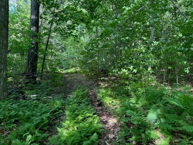 Residential at Lot 121 Davis Mine Rd, Rowe MA 01367, photo 21 of 25