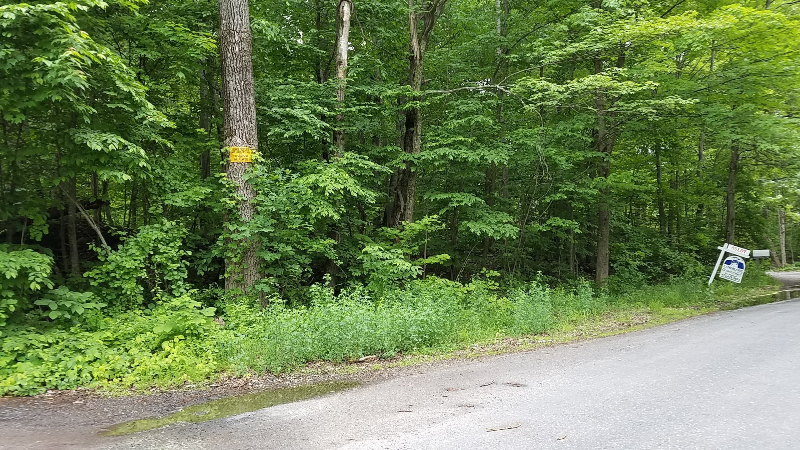 Agriculture at 0 Mountain Rd, Hampden MA 01036, photo 2 of 2