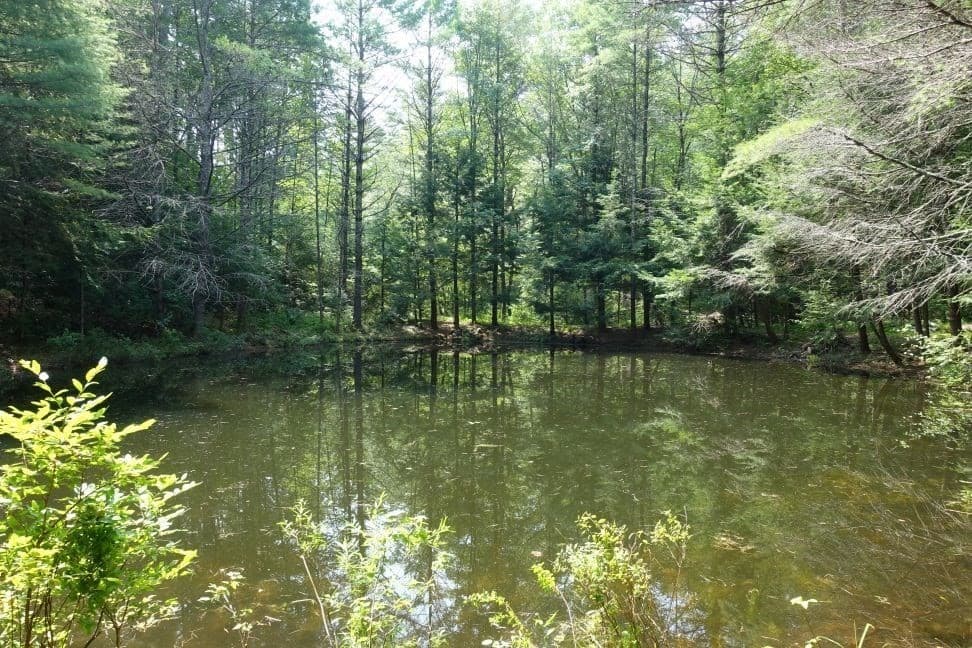 Residential at 0 Dudleyville Rd, Leverett MA 01054, photo 4 of 14