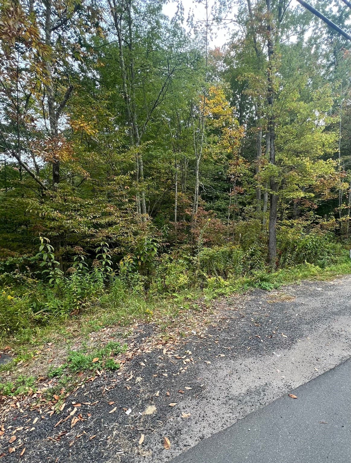 Residential at 0 Allen Rd, Belchertown MA 01007, photo 6 of 6