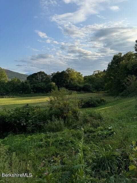 Land at 12 South St, Cheshire MA 01225, photo 4 of 16