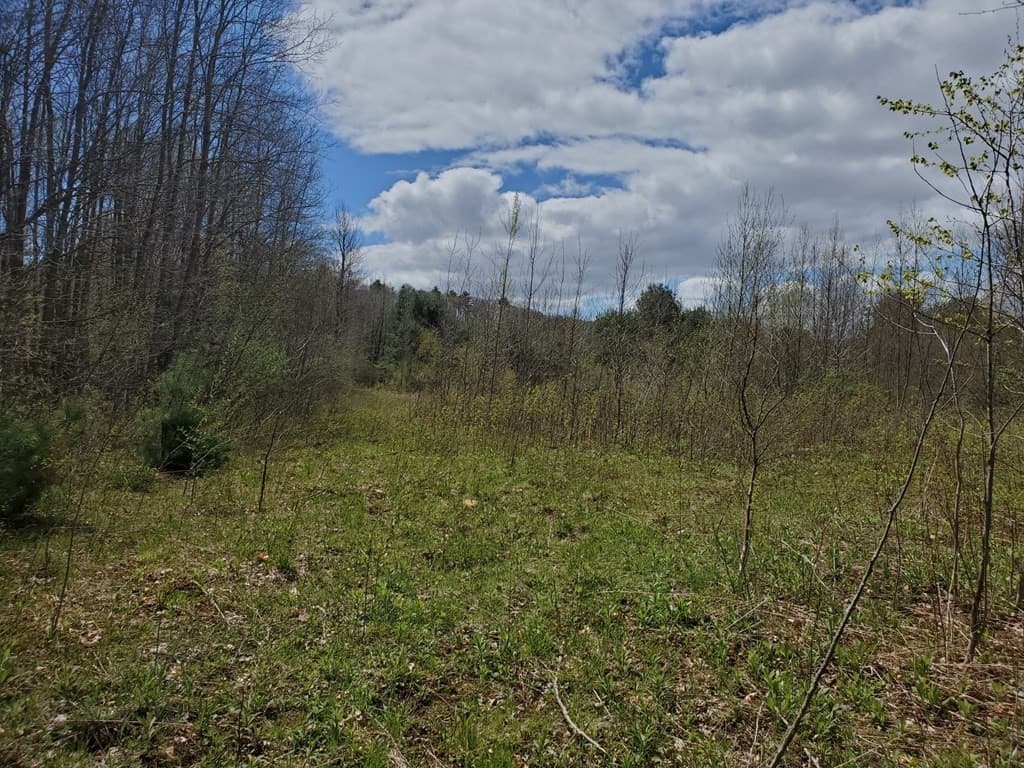 61 Bates St, North Brookfield MA 01535