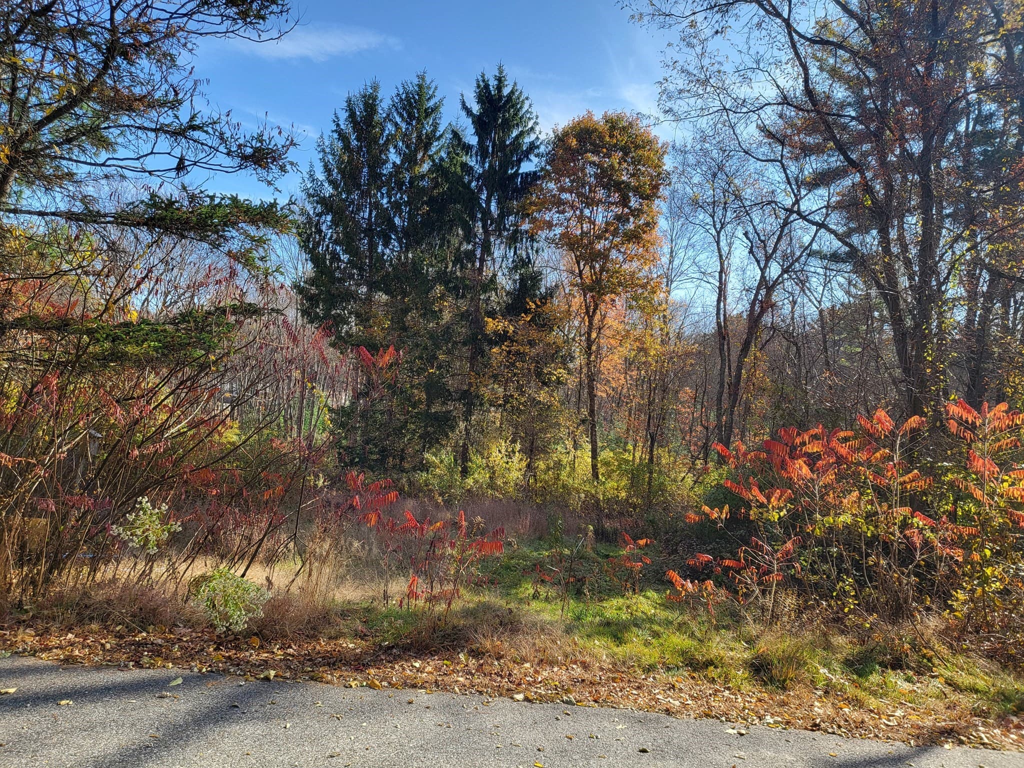 0 Hillside Drive, Brimfield MA 01010