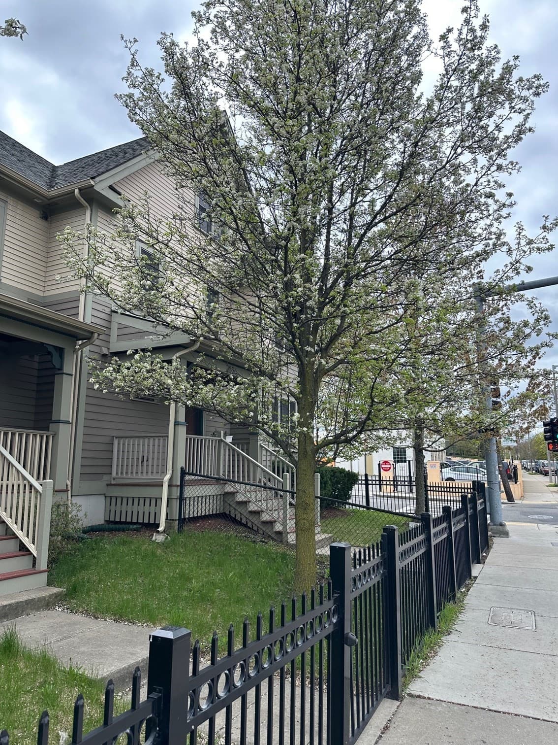 2856 Washington Street, Boston MA 02119
