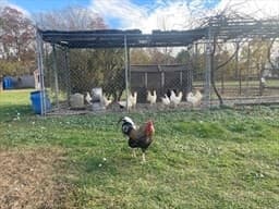 Land at 1789 Broadway, Raynham MA 02767, photo 12 of 23