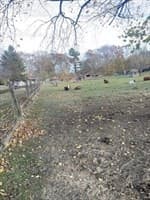 Land at 1789 Broadway, Raynham MA 02767, photo 15 of 23