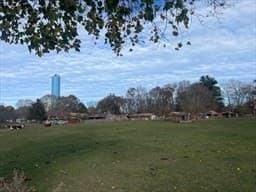 Land at 1789 Broadway, Raynham MA 02767, photo 11 of 23