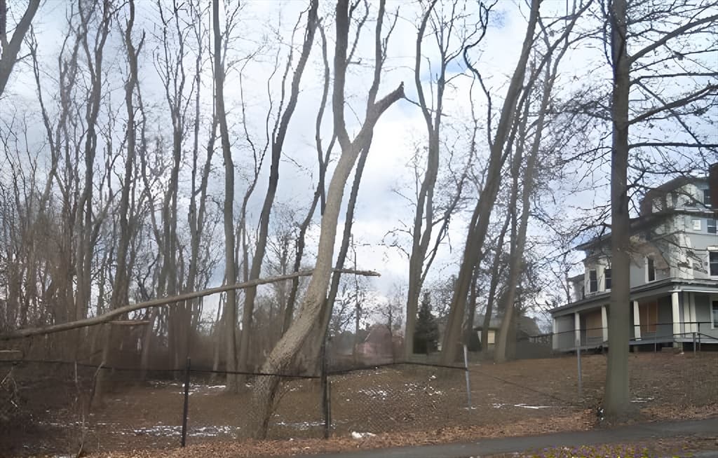 LOT 3 N S Worthington St, Springfield MA 01109