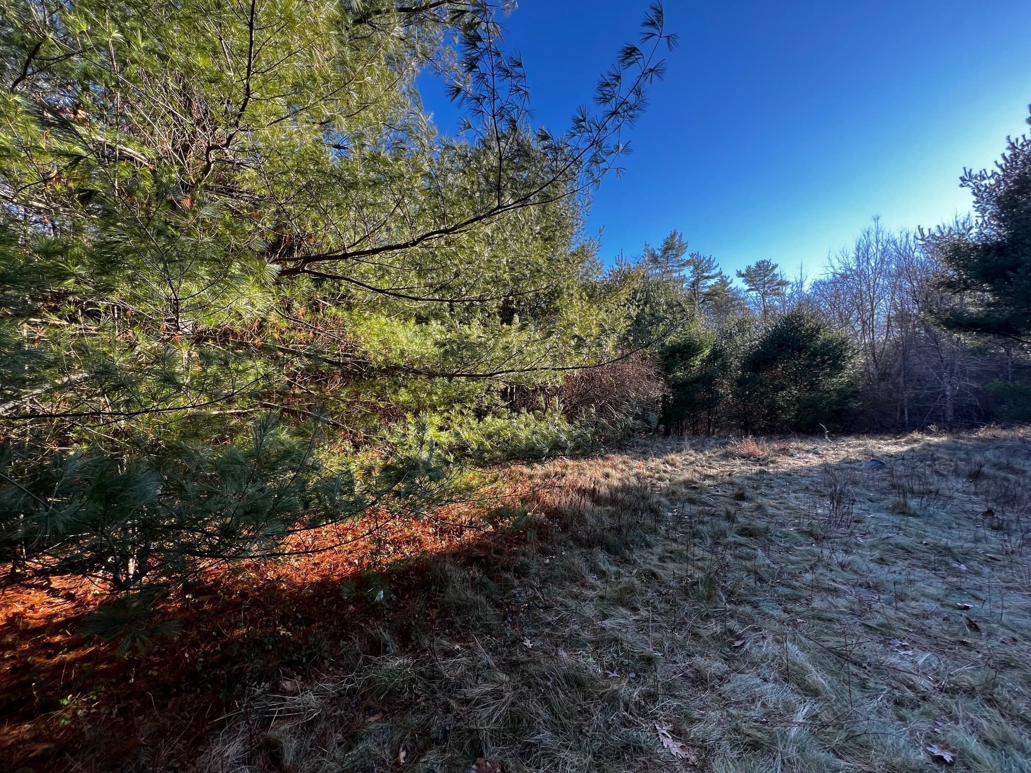 Commercial at 480 Wareham St - Rte 28, Middleboro MA 02346, photo 7 of 11