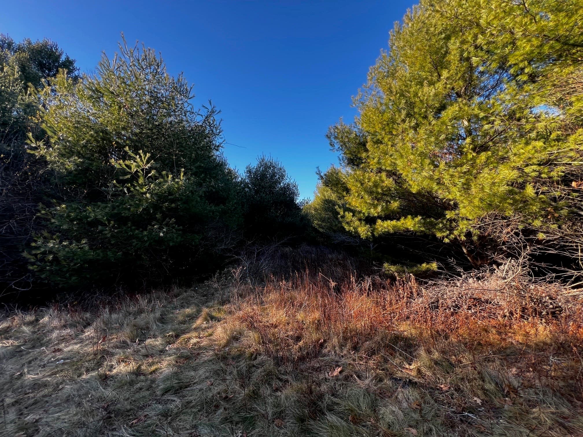480 Wareham St., Middleboro MA 02346