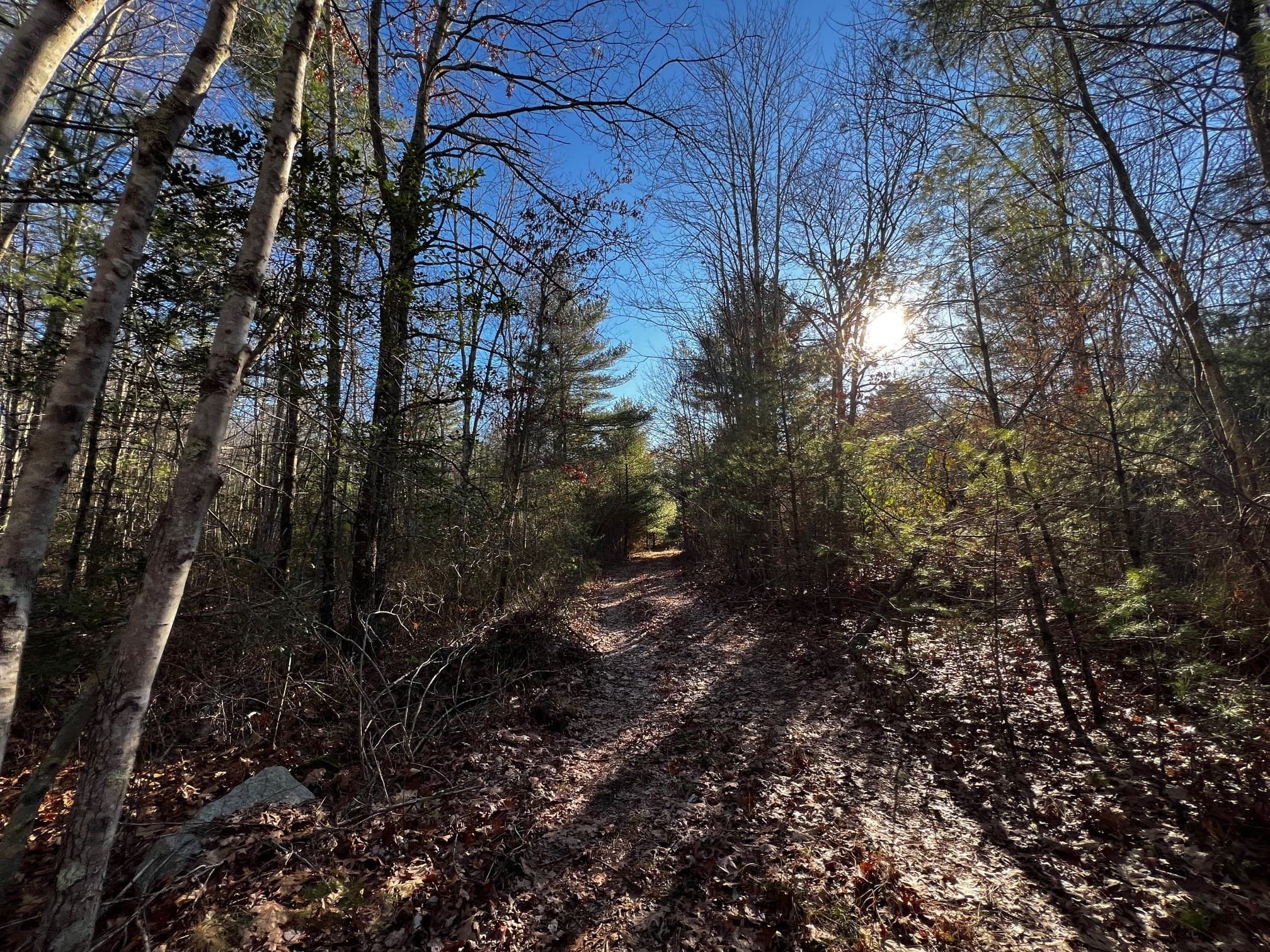 Land at 480 Wareham St., Middleboro MA 02346, photo 9 of 11