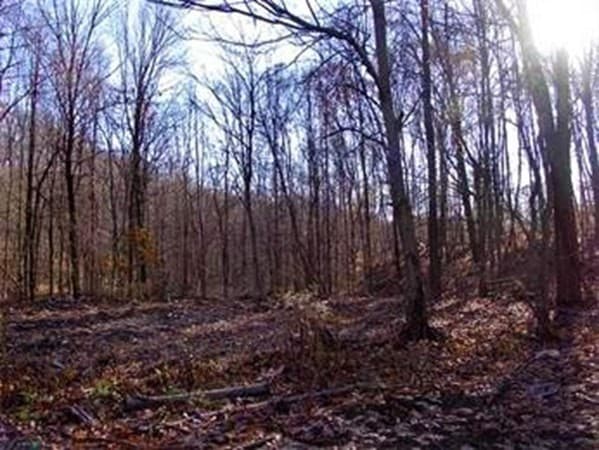 474 Mountain Road, Wilbraham MA 01095