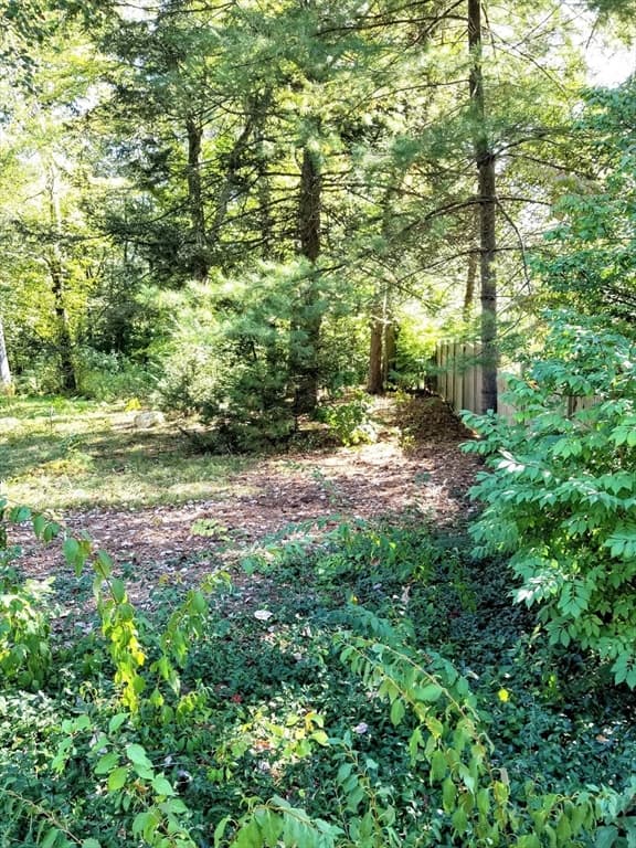 0 Red Gate, Amherst MA 01002 photo 3