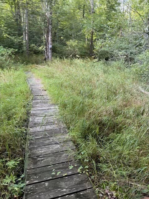 Residential at 56 Hubbardston Rd, Princeton MA 01541, photo 3 of 5