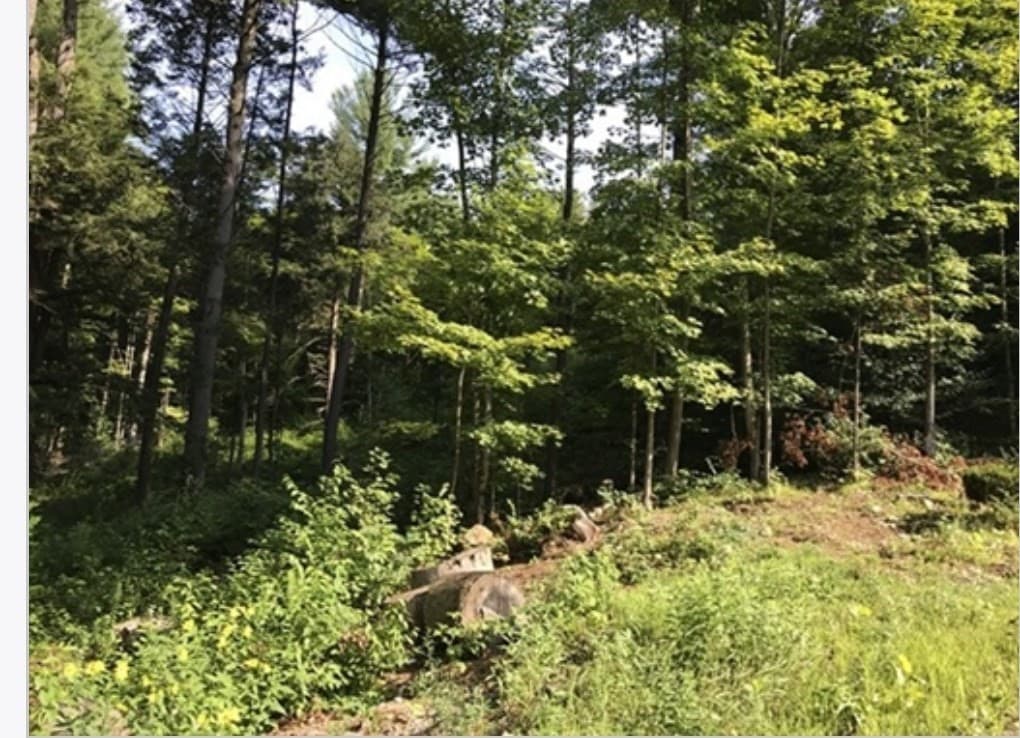 49 Old Chester Rd, Huntington MA 01050