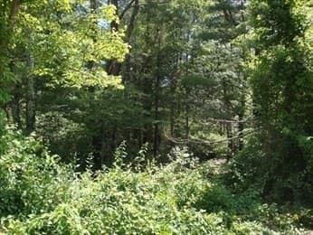 441 Wareham Street, Middleboro MA 02346 photo 14