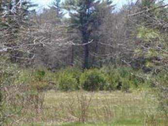 441 Wareham Street, Middleboro MA 02346 photo 15