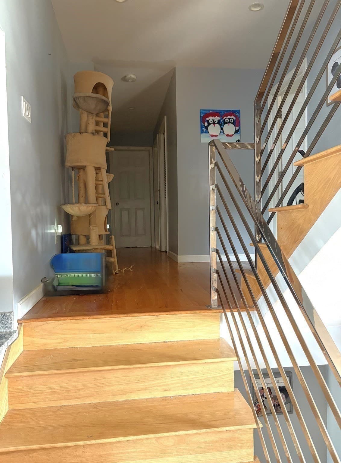 Single Family Residence at 63 Doonan St, Medford MA 02155, photo 10 of 15