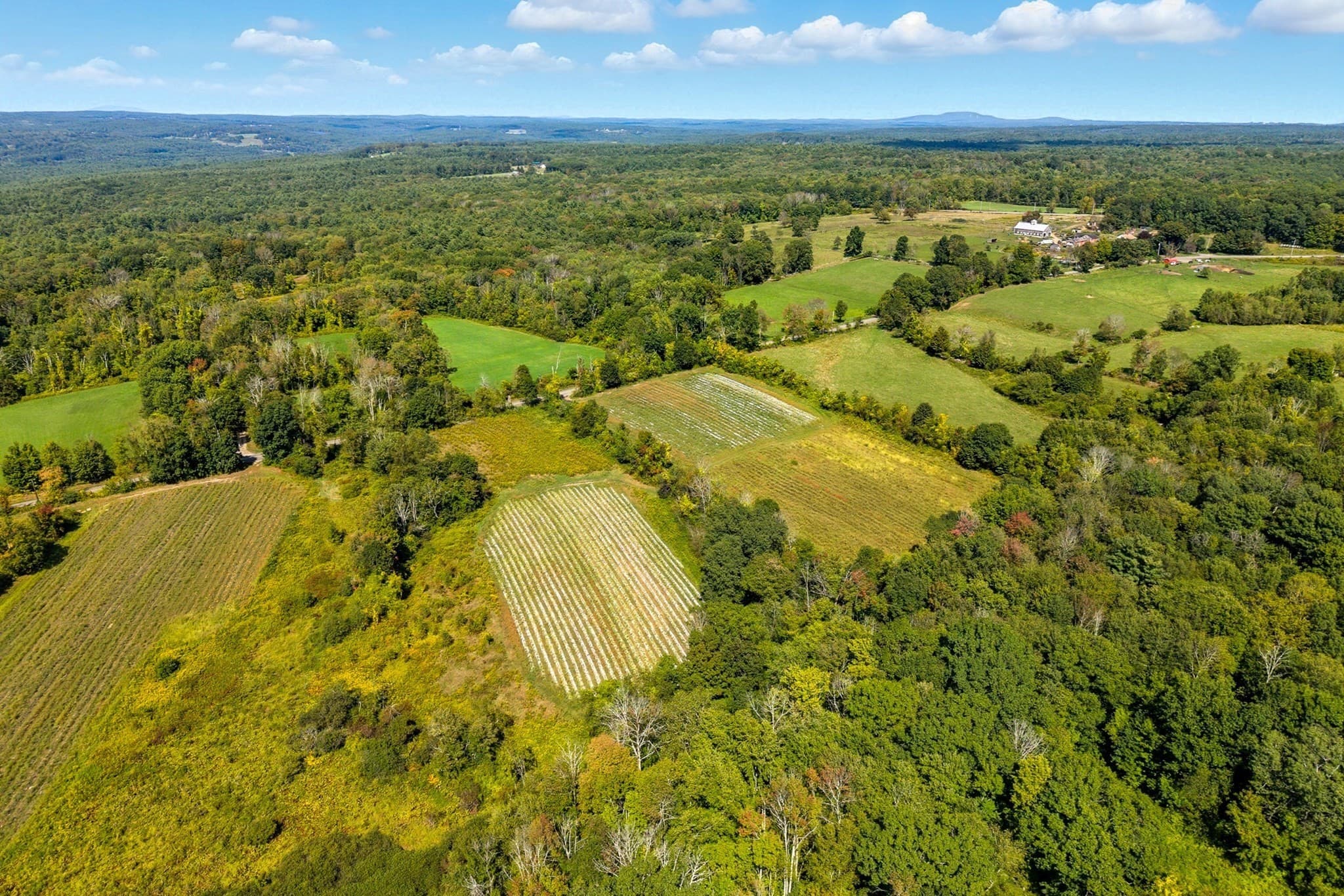 Agriculture at 716 Hardwick Rd, New Braintree MA 01531, photo 7 of 15