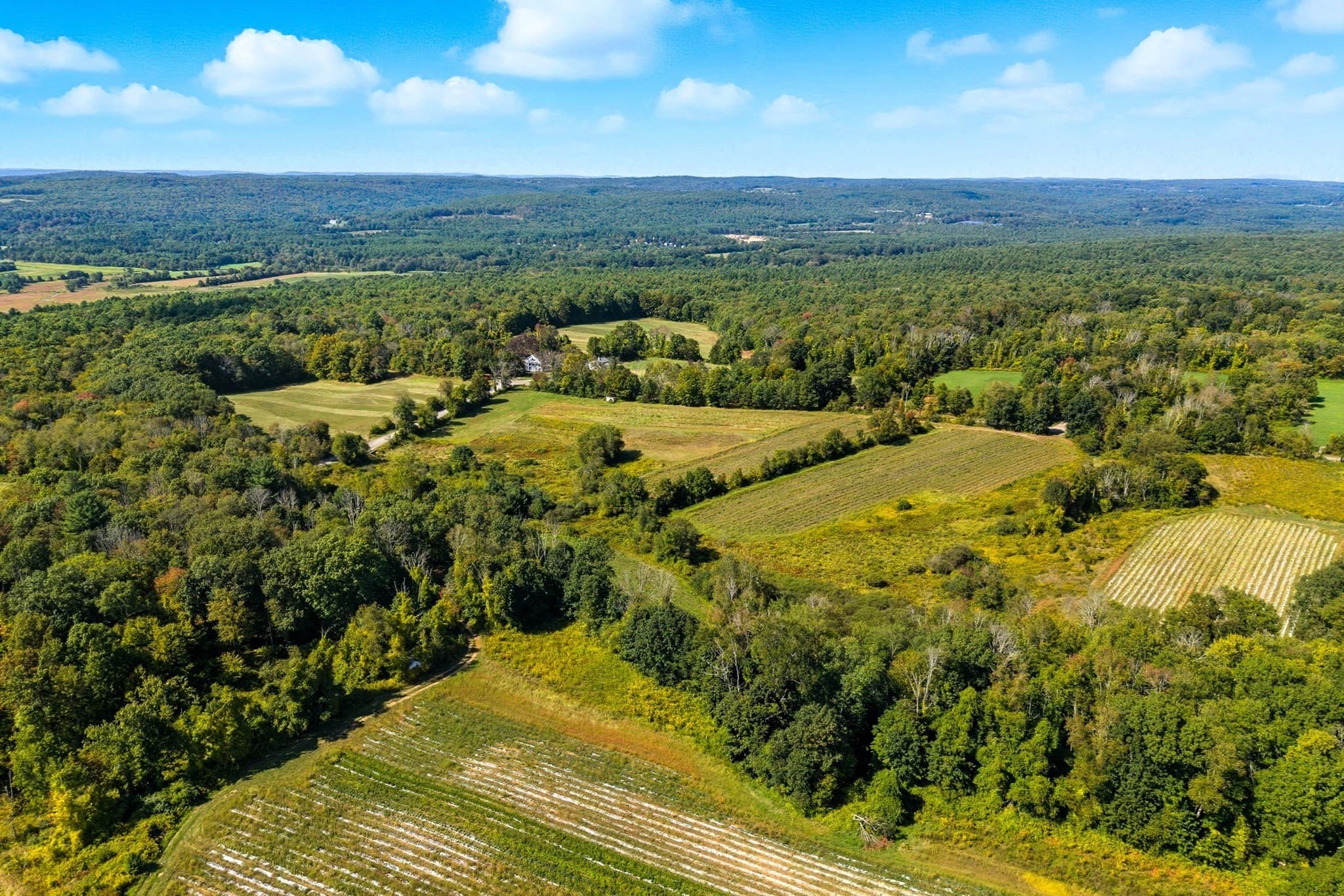Agriculture at 716 Hardwick Rd, New Braintree MA 01531, photo 5 of 15