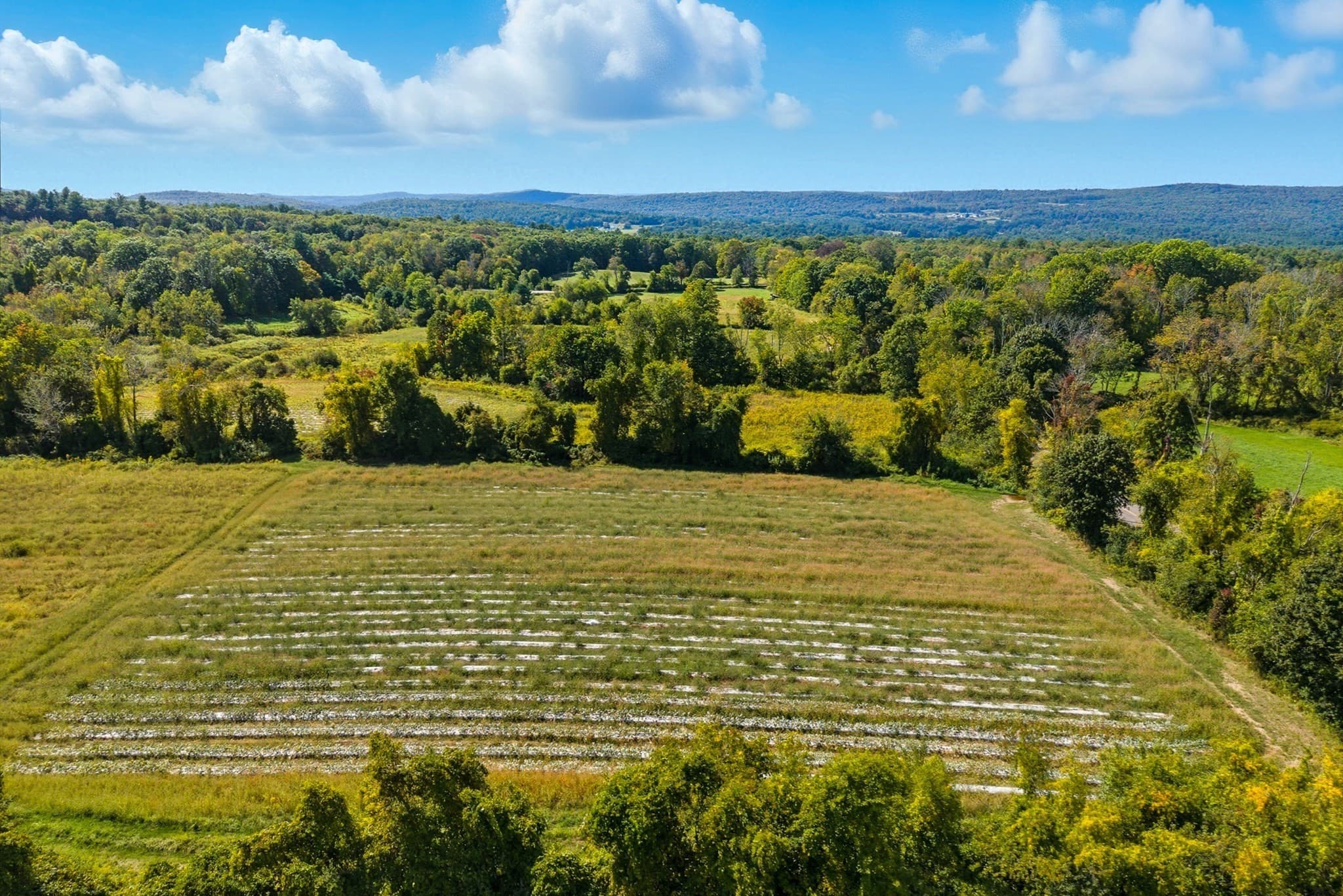 Agriculture at 716 Hardwick Rd, New Braintree MA 01531, photo 14 of 15
