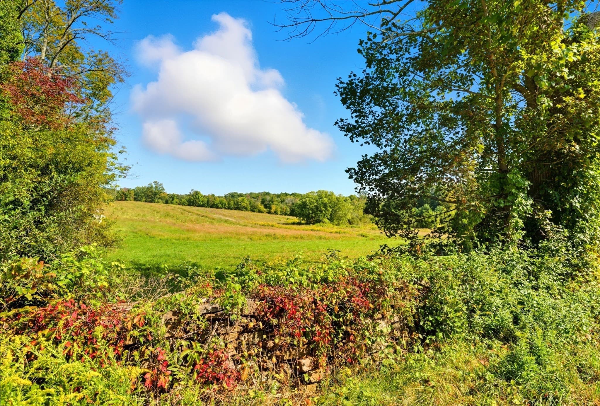 Agriculture at 716 Hardwick Rd, New Braintree MA 01531, photo 11 of 15