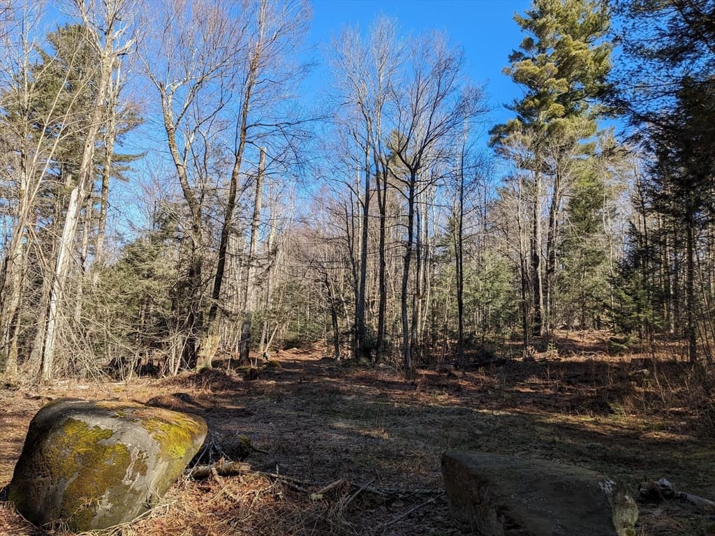 0 Sears Road, Ashfield MA 01330 photo 6