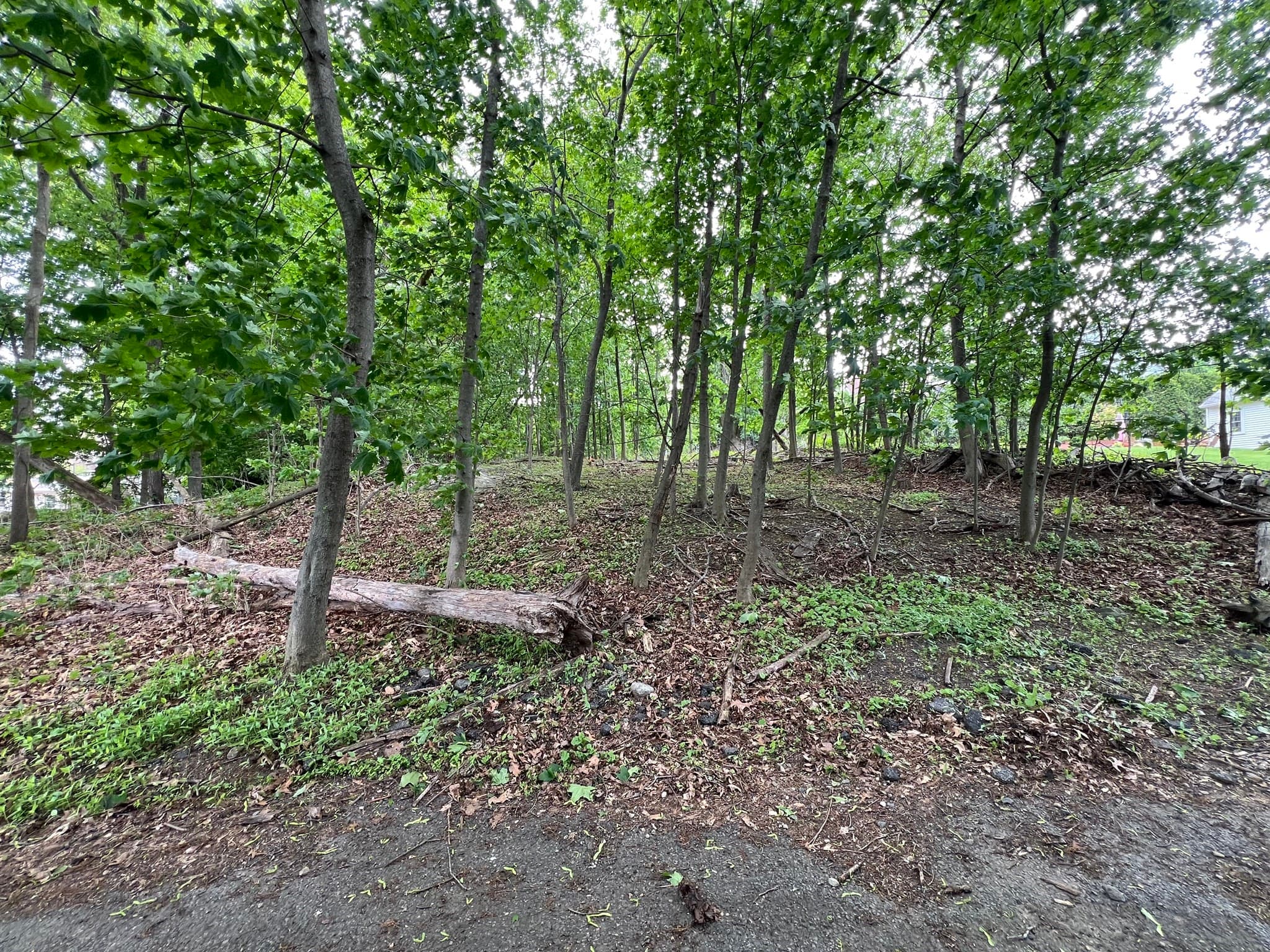 Residential at 0 Fryeburg Rd, Woburn MA 01801, Woburn, photo 3 of 5