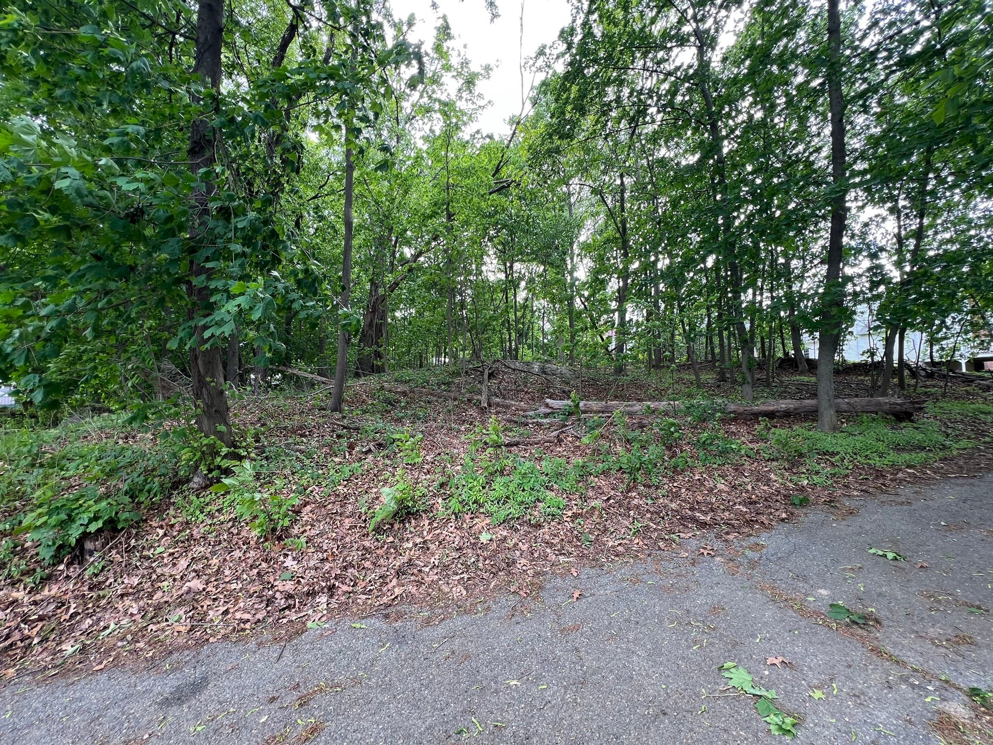 Residential at 0 Fryeburg Rd, Woburn MA 01801, Woburn, photo 5 of 5