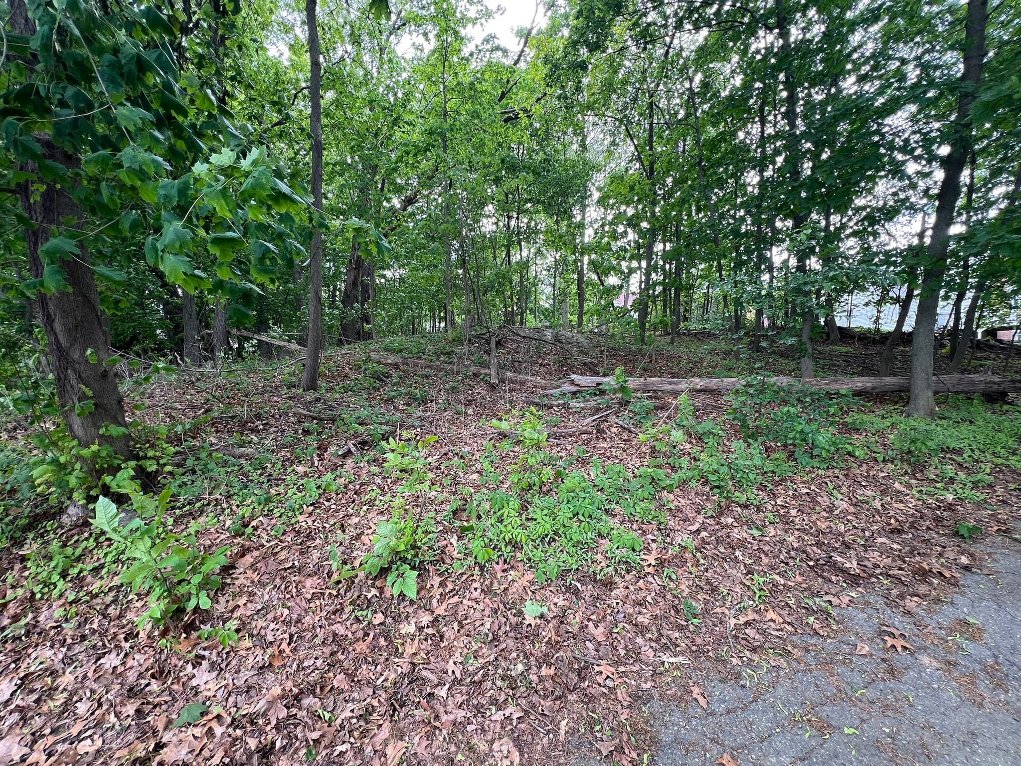 Residential at 0 Fryeburg Rd, Woburn MA 01801, Woburn, photo 4 of 5