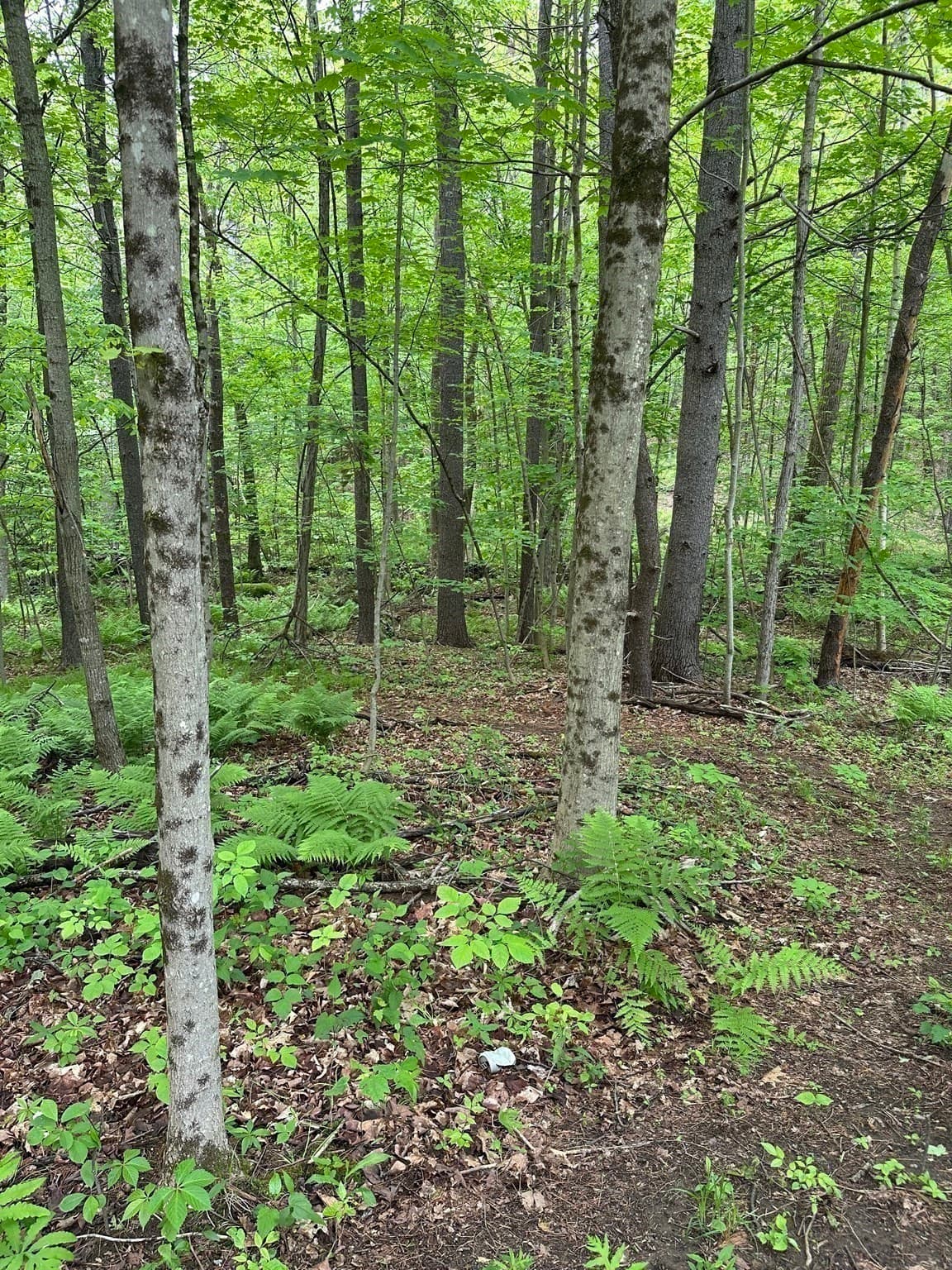 0 South Royalston Rd, Royalston MA 01368